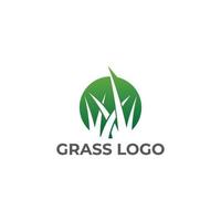 grön smaragd- gräs rena logotyp design vektor