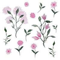 satz aquarellblumen, magnolie, von hand gezeichnete pfingstrosen. Vektor