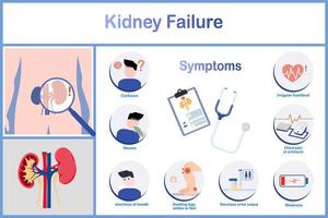 vektorillustration.symptome von nierenversagen, einschließlich übelkeit und erbrechen, unregelmäßiger herzschlag, vermindertes wasserlassen, brustschmerzen und druck.einschließlich ödeme.flat stye.healthcare und medizinisches konzept. vektor