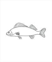 illustration av en fisk linje konst på vit vektor