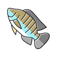 Nil-Tilapia-Farbsymbol-Vektorillustration vektor