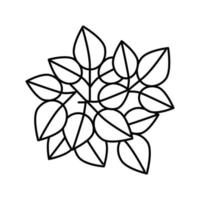 Poison Ivy Linie Symbol Vektor Illustration