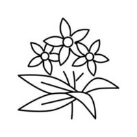 neroli blommor aromaterapi linje ikon vektor isolerade illustration