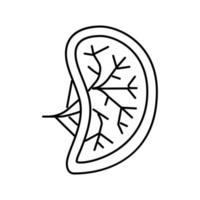 Milz menschliches Organ Symbol Leitung Vektor Illustration