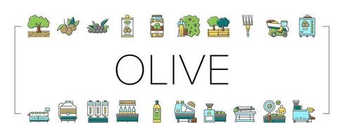 Olivenproduktion und Ernte Symbole setzen Vektor