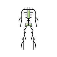 Abbildung des Farbsymbols für das Lymphsystem vektor