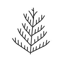 Zedernpflanze Blattfarbe Symbol Vektor Illustration