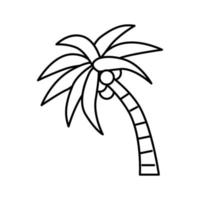 Palme Kokosnuss Linie Symbol Vektor Illustration