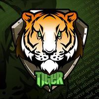 logotyp av tiger huvud på ridderlig skydda. vektor