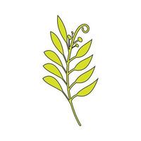 grön löv botanisk logotyp vektor och symbol design