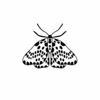 Schmetterling-Logo-Symbol. Schablonendesign. Tier-Tattoo-Vektor-Illustration. vektor