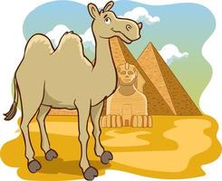 Kamel und Pyramiden Cartoon-Vektor vektor