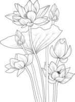 lotus blomma skiss konst, årgång stil tryckt för söt blomma färg pages.vector illustration av en skön blomma med en bukett av näckros, och löv. isolerat på vit bakgrund. vektor