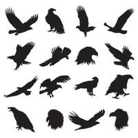 satz von weißkopfseeadler silhouette vektor illustration