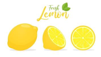 Vektor gelbe Zitronenfrucht mit saurem Geschmack zum Kochen und Auspressen, um gesunde Limonade zu machen