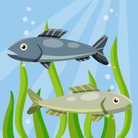 under vattnet liv. vatten med alger. vilda djur och växter och akvarium. element av fiske. tecknad serie platt illustration vektor