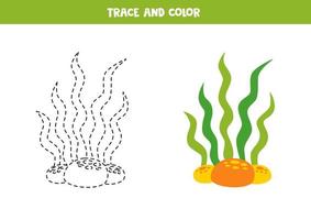 spår och Färg tecknad serie hav ogräs. kalkylblad för barn. vektor