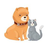 söt katt och hund djur isolerade ikon vektor