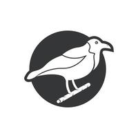 elegantes vogellogo-ikonendesign und -symbol vektor