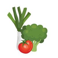 frischer Brokkoli mit Gemüse isolierten Ikonen vektor