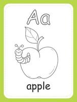 Alphabet-Malbuchkarte für Kinder mit dem Buchstaben a und Apfel mit Raupe. Bildungskarte für Kinder. das Wort Apfel, das englische Alphabet. Vektor-Illustration. vektor