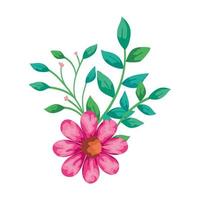 niedliche Blume rosa mit Zweigen und Blättern isolierte Ikone vektor
