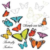 bakgrund med färgrik fjärilar vektor illustration
