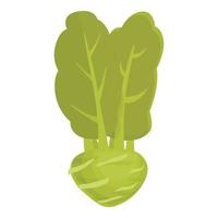 Kohl Kohlrabi Symbol Cartoon Vektor. natürliche Pflanze vektor