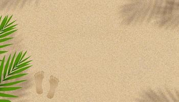 sandig strand textur bakgrund med kokos handflatan löv skugga och fotspår, vektor horisont bakgrund bakgrund med barfota och tropisk blad silhuett på brun strand sand dyn för sommar baner