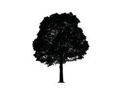 Baum-Silhouette-Vektor-Illustration vektor
