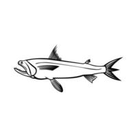 bombay anka fisk harpadon nehereus bummalo, bombil boomla eller konstig fisk från sidan stencil svartvitt retro vektor