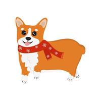 corgi i en röd scarf. corgi hund vektor tecknad serie illustration. söt vänlig welsh corgi valp, isolerat på vit bakgrund.