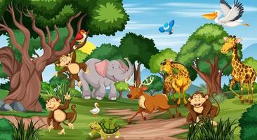 många olika djur i skogsscenen