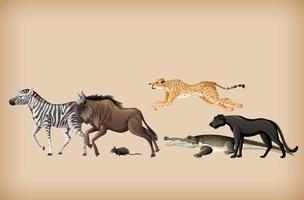 grupp vilda djur på bakgrund vektor