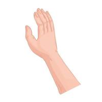 Hand menschliches Stoppsymbol isoliertes Symbol vektor
