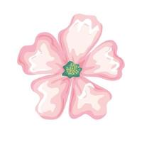 blomma rosa målning vektor design