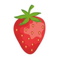 färsk jordgubbsfrukt hälsosam mat vektor