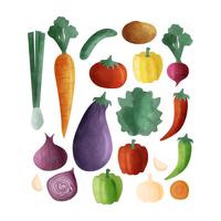 Vektor Hand gezeichnetes Gemüse