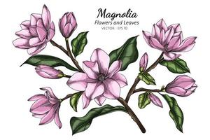 rosa magnolia blomma och blad ritning illustration med konturteckningar på vit bakgrund vektor