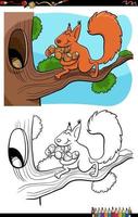 Cartoon lustiges Eichhörnchen mit Eicheln Malbuch Seite vektor
