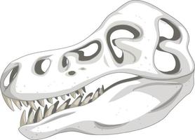 Dinosaurierskelett auf weißem Hintergrund vektor
