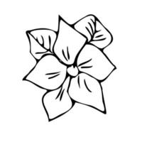 Blumen-Herz-Umschlag. Brief mit Blumen. Doodle-Stil. vektor