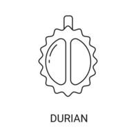 durian exotisches fruchtikonenelement für web vektor