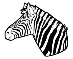 Zebra-Illustrationsdesign vektor