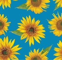 nahtloses Muster mit gelben Sonnenblumen auf blauem Hintergrund. blumenmuster, sonnenblumenillustration. blaue und gelbe farben der ukraine vektor