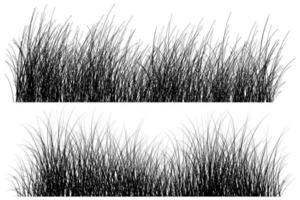 lång gräs silhuett vektor