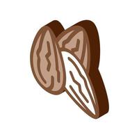 kakao bönor isometrisk ikon vektor illustration