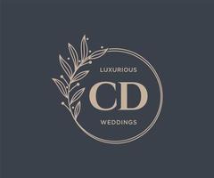 CD initialer brev bröllop monogram logotyper mall, hand dragen modern minimalistisk och blommig mallar för inbjudan kort, spara de datum, elegant identitet. vektor
