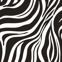 nahtloses Muster - Zebra. Tierdruck vektor