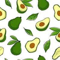 Avocado-Pflanze, Fruchtmuster aus Bio-Zutaten vektor